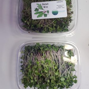 Basic Salad Mix